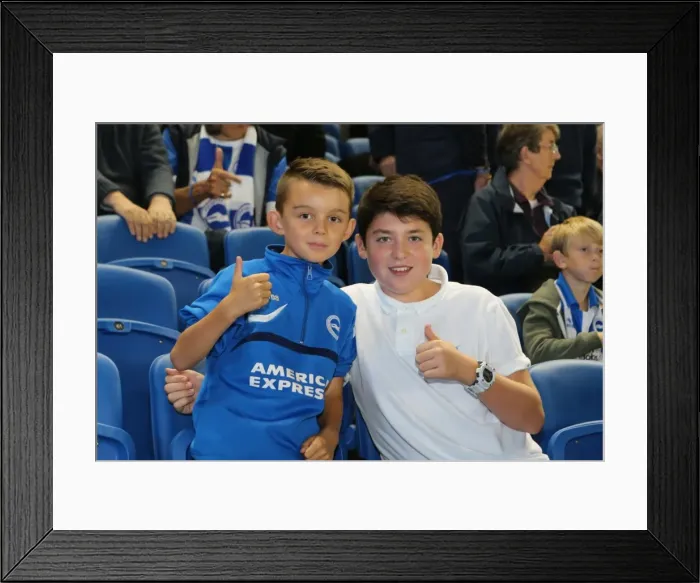 Framed Print : Brighton & Hove Albion vs. Cardiff City: 30 September 2014 (Cardiff City 30SEP14) Framed Print : Brighton & Hove Albion vs. Cardiff City: 30 September 2014 (Cardiff City 30SEP14)