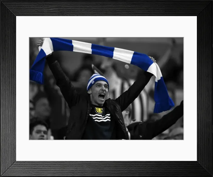 Framed Print : Brighton & Hove Albion vs. Cardiff City: 30 September 2014 (Cardiff City Home Game) Framed Print : Brighton & Hove Albion vs. Cardiff City: 30 September 2014 (Cardiff City Home Game)