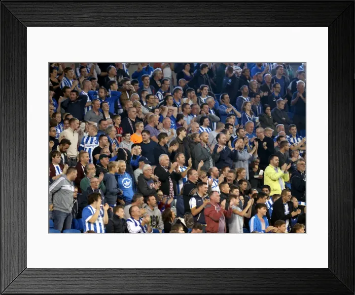 Framed Print : Brighton & Hove Albion vs. Cardiff City: 30SEP14 (Home Game) Framed Print : Brighton & Hove Albion vs. Cardiff City: 30SEP14 (Home Game)