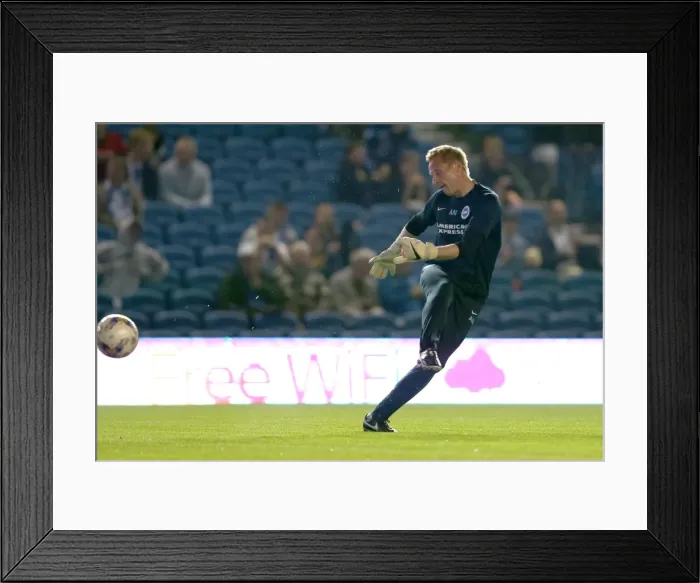 Framed Print : Brighton & Hove Albion vs. Cardiff City: 30SEP14 (Home Game) Framed Print : Brighton & Hove Albion vs. Cardiff City: 30SEP14 (Home Game)