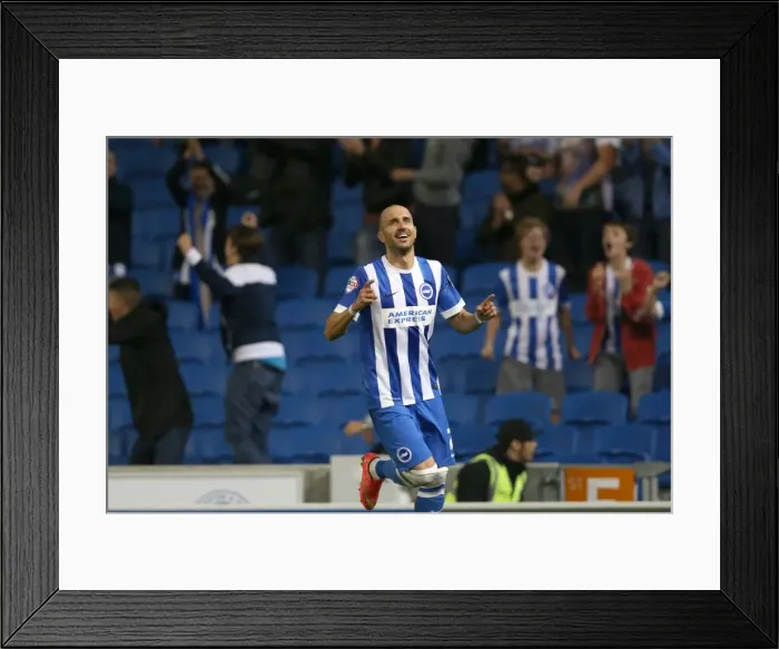 Framed Print : Brighton & Hove Albion vs. Cardiff City: 30SEP14 (Home Game) Framed Print : Brighton & Hove Albion vs. Cardiff City: 30SEP14 (Home Game)