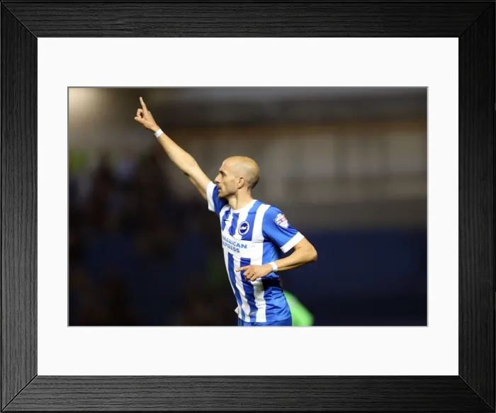 Framed Print : Brighton & Hove Albion vs. Cardiff City: 30 September 2014 (Cardiff City Home Game) Framed Print : Brighton & Hove Albion vs. Cardiff City: 30 September 2014 (Cardiff City Home Game)