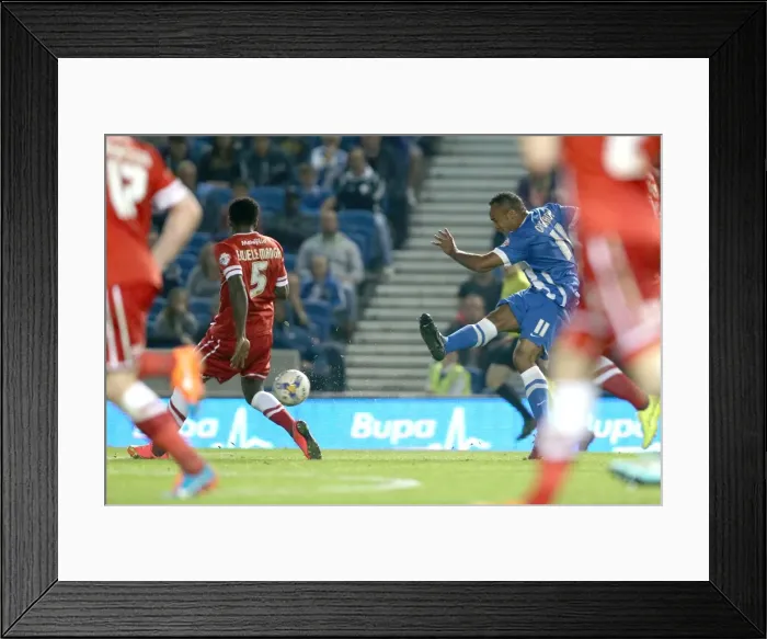 Framed Print : Brighton & Hove Albion vs. Cardiff City: 30SEP14 (Home Game) Framed Print : Brighton & Hove Albion vs. Cardiff City: 30SEP14 (Home Game)