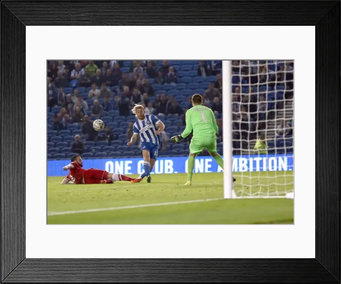 Framed Print : Brighton & Hove Albion vs. Cardiff City: 30SEP14 (Home Game) Framed Print : Brighton & Hove Albion vs. Cardiff City: 30SEP14 (Home Game)