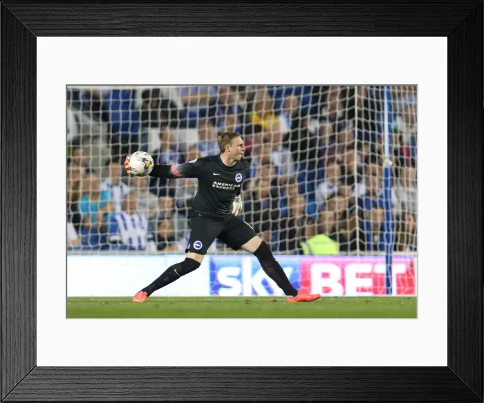 Framed Print : Brighton & Hove Albion vs. Cardiff City: 30SEP14 (Home Game)