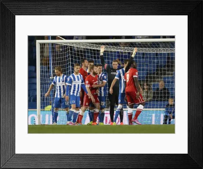 Framed Print : Brighton & Hove Albion vs. Cardiff City: 30 September 2014 (Cardiff City Home Game)