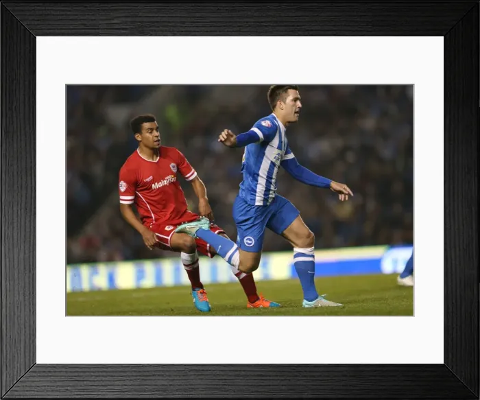 Framed Print : Brighton & Hove Albion vs. Cardiff City: 30SEP14 (Home Game)