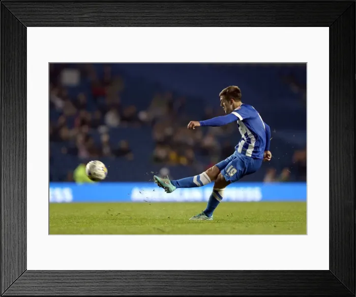 Framed Print : Brighton & Hove Albion vs. Cardiff City: 30 September 2014 (Cardiff City Home Game)