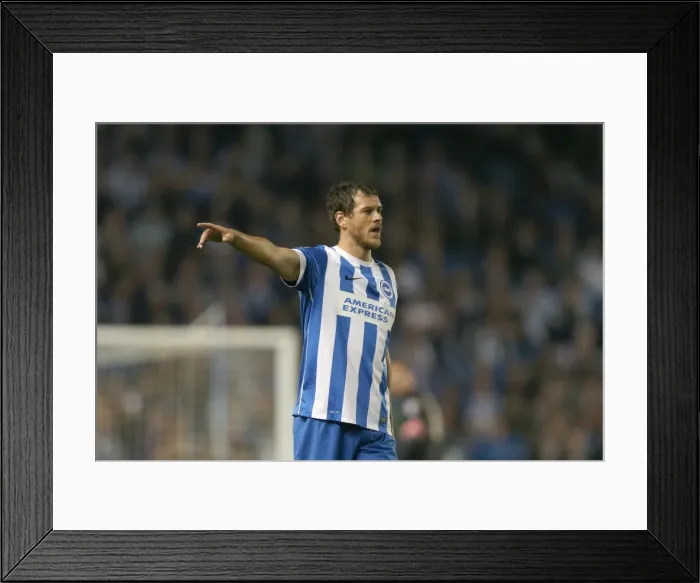 Framed Print : Brighton & Hove Albion vs. Cardiff City: 30SEP14 (Home Game)