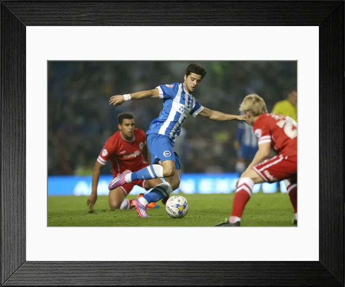 Framed Print : Brighton & Hove Albion vs. Cardiff City: 30SEP14 (Home Game) Framed Print : Brighton & Hove Albion vs. Cardiff City: 30SEP14 (Home Game)