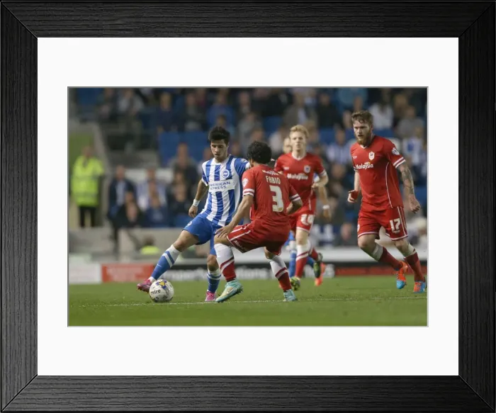 Framed Print : Brighton & Hove Albion vs. Cardiff City: 30SEP14 (Home Game) Framed Print : Brighton & Hove Albion vs. Cardiff City: 30SEP14 (Home Game)