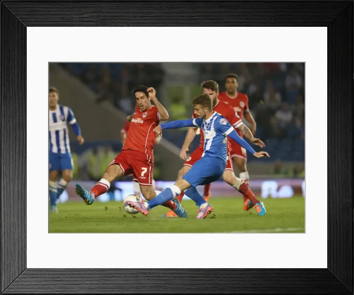 Framed Print : Brighton & Hove Albion vs. Cardiff City: 30SEP14 (Home Game) Framed Print : Brighton & Hove Albion vs. Cardiff City: 30SEP14 (Home Game)
