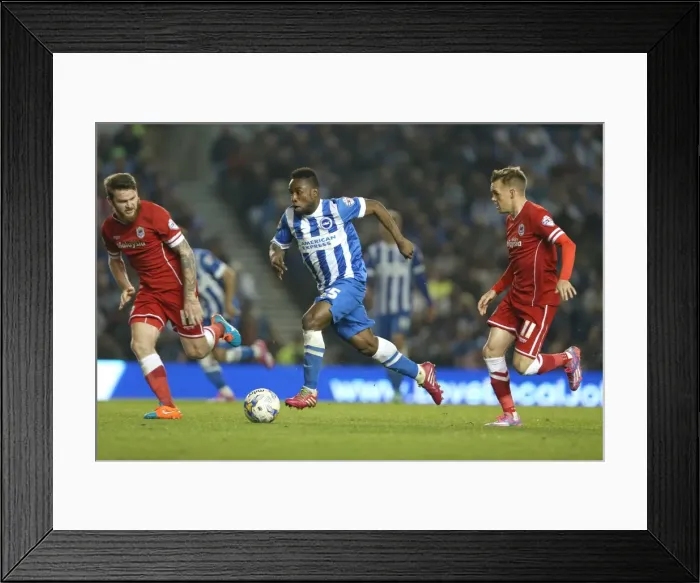 Framed Print : Brighton & Hove Albion vs. Cardiff City: 30SEP14 (Home Game) Framed Print : Brighton & Hove Albion vs. Cardiff City: 30SEP14 (Home Game)