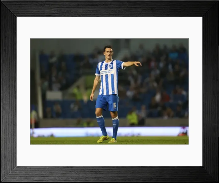 Framed Print : Brighton & Hove Albion vs. Cardiff City: 30SEP14 (Home Game) Framed Print : Brighton & Hove Albion vs. Cardiff City: 30SEP14 (Home Game)