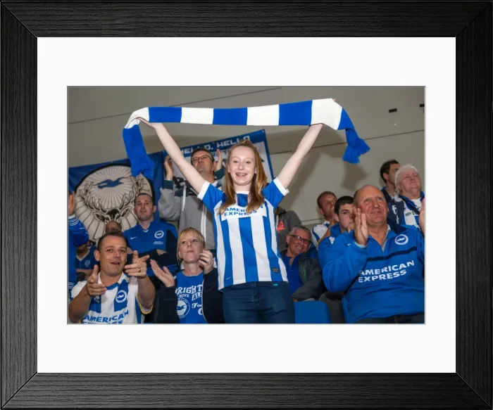 Framed Print : Brighton & Hove Albion vs. Cardiff City: 30SEP14 (Home Game) Framed Print : Brighton & Hove Albion vs. Cardiff City: 30SEP14 (Home Game)