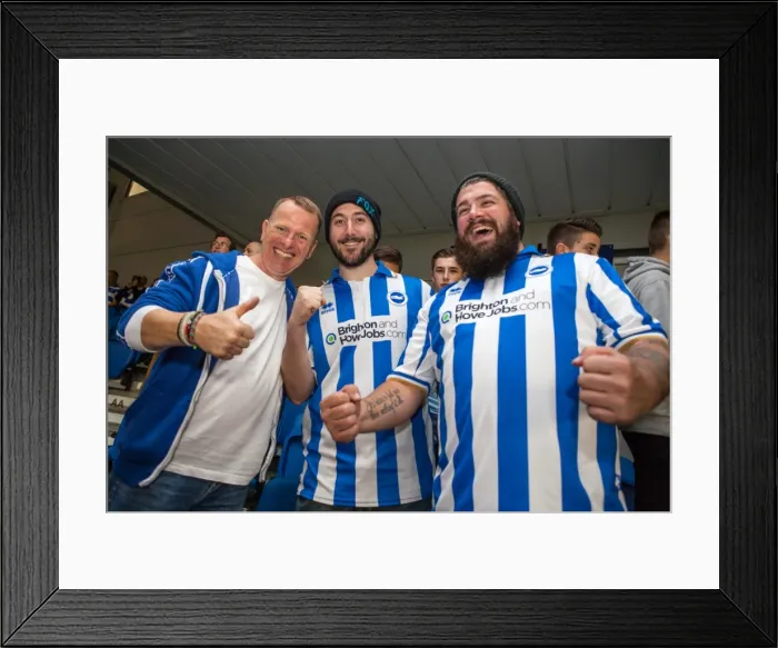 Framed Print : Brighton & Hove Albion vs. Cardiff City: 30 September 2014 (Cardiff City 30SEP14)
