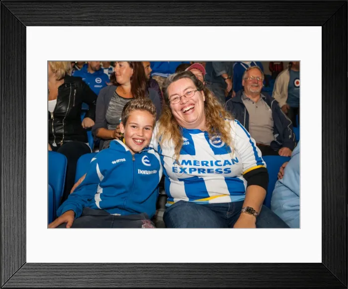 Framed Print : Brighton & Hove Albion vs. Cardiff City: 30SEP14 (Home Game) Framed Print : Brighton & Hove Albion vs. Cardiff City: 30SEP14 (Home Game)