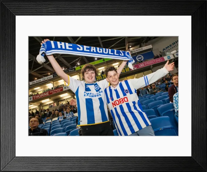 Framed Print : Brighton & Hove Albion vs. Cardiff City: 30SEP14 (Home Game) Framed Print : Brighton & Hove Albion vs. Cardiff City: 30SEP14 (Home Game)