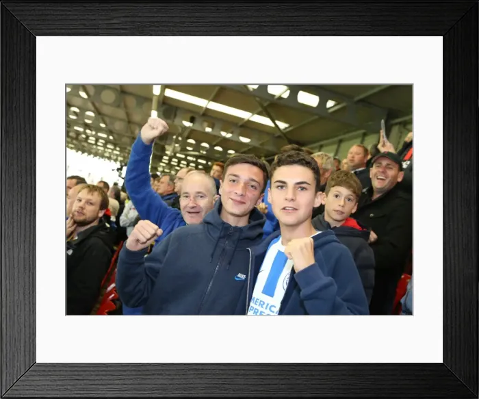 Framed Print : Brighton & Hove Albion: 2014-15 Away Game vs. Watford (October 4, 2014) Framed Print : Brighton & Hove Albion: 2014-15 Away Game vs. Watford (October 4, 2014)