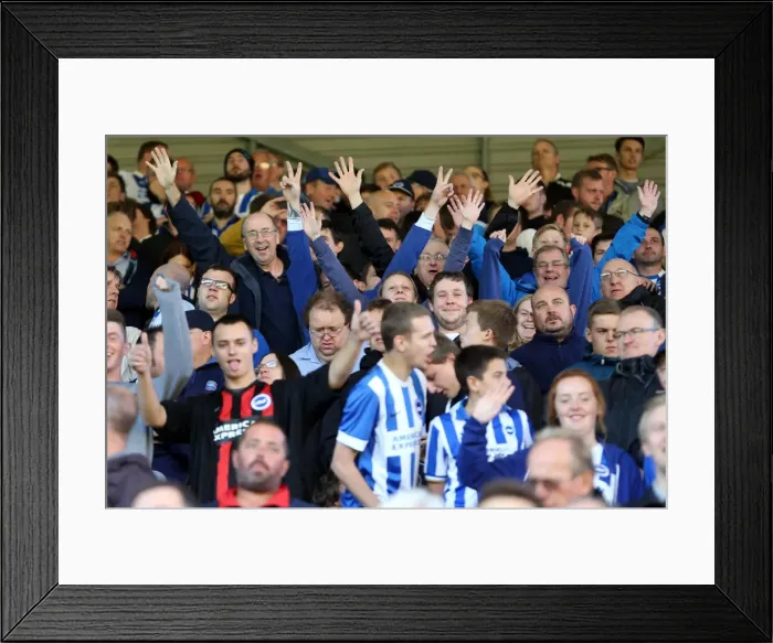 Framed Print : Brighton & Hove Albion 2014-15: Away Game at Watford (04OCT14) Framed Print : Brighton & Hove Albion 2014-15: Away Game at Watford (04OCT14)