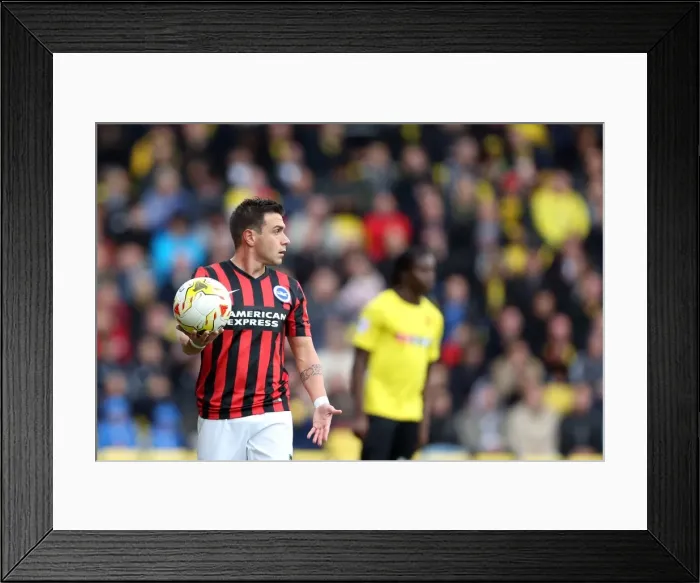 Framed Print : Brighton & Hove Albion: 2014-15 Away Game at Watford (October 4, 2014) Framed Print : Brighton & Hove Albion: 2014-15 Away Game at Watford (October 4, 2014)