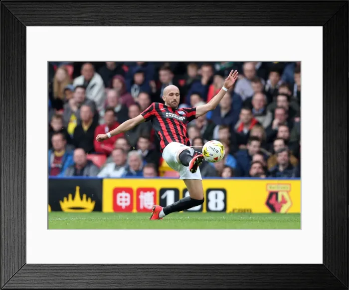 Framed Print : Brighton & Hove Albion vs. Watford: 2014-15 Away Game Framed Print : Brighton & Hove Albion vs. Watford: 2014-15 Away Game