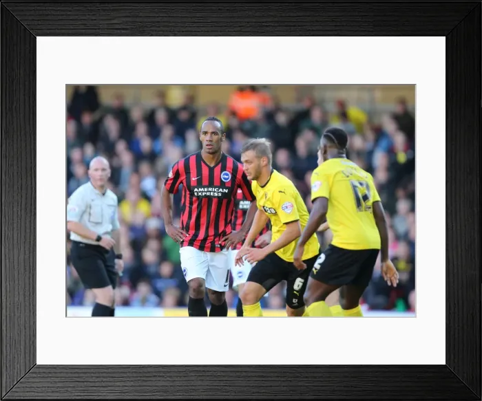 Framed Print : Brighton & Hove Albion: Away at Watford (04OCT14) Framed Print : Brighton & Hove Albion: Away at Watford (04OCT14)