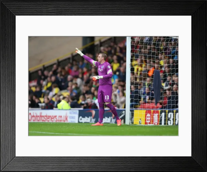 Framed Print : Brighton & Hove Albion: Away Game at Watford (04OCT14) Framed Print : Brighton & Hove Albion: Away Game at Watford (04OCT14)