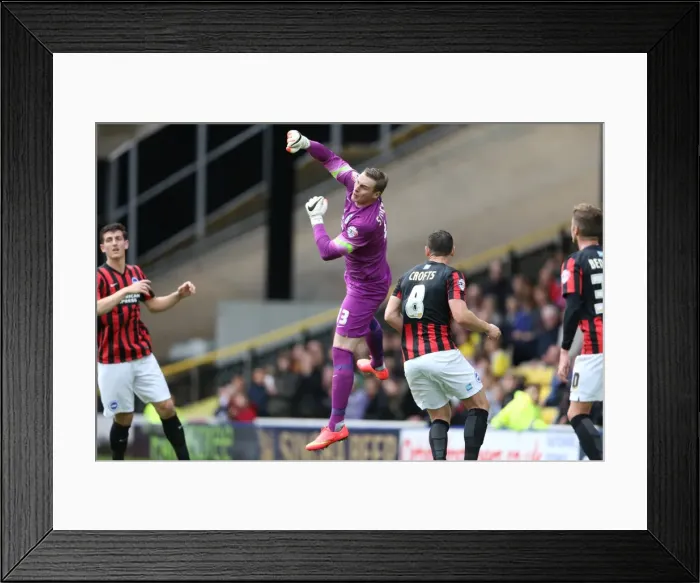 Framed Print : Brighton & Hove Albion: Away Game at Watford (October 4, 2014) Framed Print : Brighton & Hove Albion: Away Game at Watford (October 4, 2014)