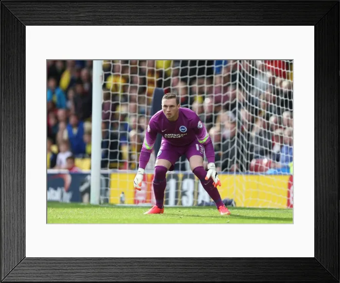Framed Print : Brighton & Hove Albion Away at Watford - 04OCT14