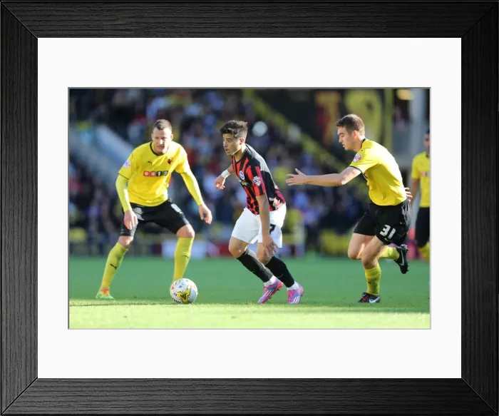Framed Print : Brighton & Hove Albion: Away Game at Watford (October 4, 2014) Framed Print : Brighton & Hove Albion: Away Game at Watford (October 4, 2014)
