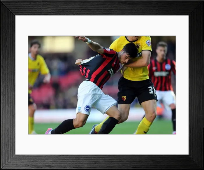 Framed Print : Brighton & Hove Albion: Away at Watford (04OCT14) Framed Print : Brighton & Hove Albion: Away at Watford (04OCT14)