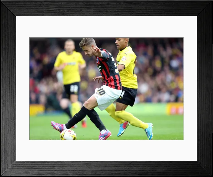 Framed Print : Brighton & Hove Albion: Away Game at Watford (4th October 2014)