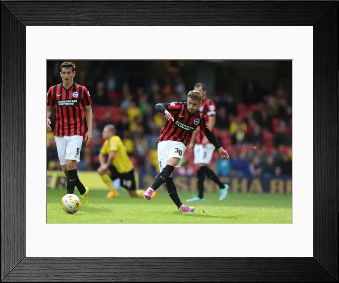Framed Print : Brighton & Hove Albion Away at Watford - 04OCT14 Framed Print : Brighton & Hove Albion Away at Watford - 04OCT14