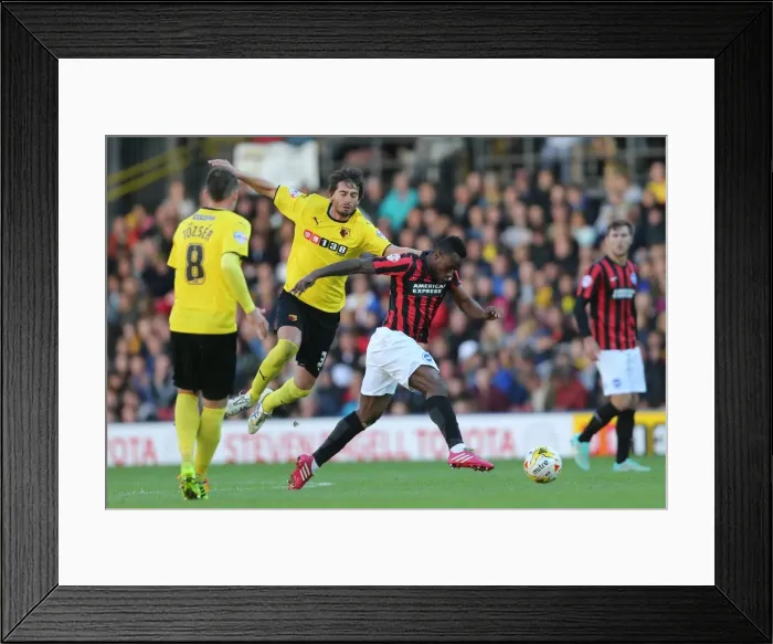 Framed Print : Brighton & Hove Albion: 2014-15 Away Game vs. Watford (October 4, 2014)