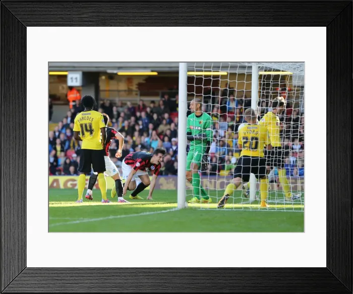 Framed Print : Brighton & Hove Albion vs. Watford: 2014-15 Away Game Framed Print : Brighton & Hove Albion vs. Watford: 2014-15 Away Game