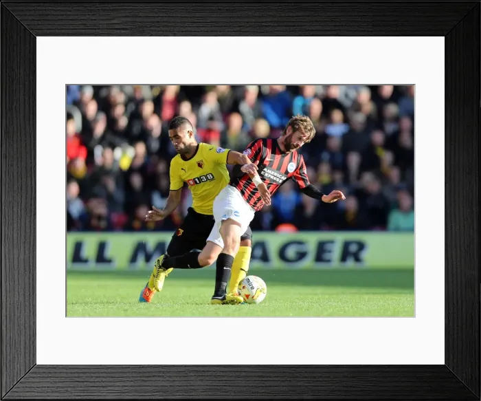 Framed Print : Brighton & Hove Albion: Away Game at Watford (04OCT14) Framed Print : Brighton & Hove Albion: Away Game at Watford (04OCT14)