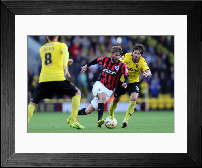 Framed Print : Brighton & Hove Albion vs. Watford: 2014-15 Away Game Framed Print : Brighton & Hove Albion vs. Watford: 2014-15 Away Game