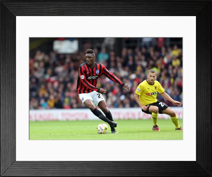 Framed Print : Brighton & Hove Albion vs. Watford: 2014-15 Away Game Framed Print : Brighton & Hove Albion vs. Watford: 2014-15 Away Game