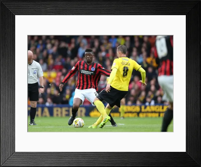 Framed Print : Brighton & Hove Albion: 2014-15 Away Game - Watford (October 4, 2014) Framed Print : Brighton & Hove Albion: 2014-15 Away Game - Watford (October 4, 2014)