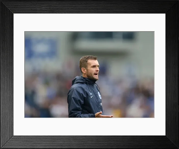 Framed Print : Brighton & Hove Albion vs Middlesbrough: Nathan Jones in Action
