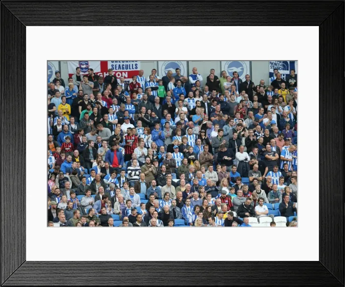 Framed Print : Brighton and Hove Albion v Sheffield Wednesday Sky Bet Championship, Play Off, Second Framed Print : Brighton and Hove Albion v Sheffield Wednesday Sky Bet Championship, Play Off, Second