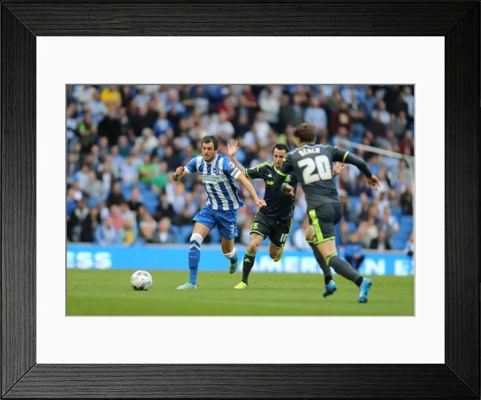 Framed Print : Gordon Greer in Action: Brighton and Hove Albion vs. Middlesbrough, October 18, 2014 Framed Print : Gordon Greer in Action: Brighton and Hove Albion vs. Middlesbrough, October 18, 2014