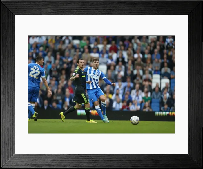 Framed Print : Gary Gardner Passes: Brighton & Hove Albion vs. Middlesbrough, October 2014 Framed Print : Gary Gardner Passes: Brighton & Hove Albion vs. Middlesbrough, October 2014