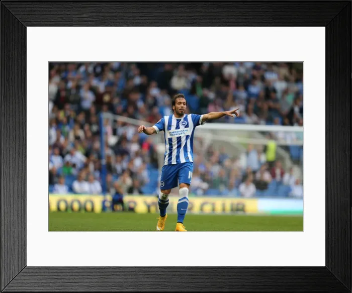 Framed Print : Inigo Calderon Points the Way: Brighton and Hove Albion vs. Middlesbrough, October 18, 2014 Framed Print : Inigo Calderon Points the Way: Brighton and Hove Albion vs. Middlesbrough, October 18, 2014