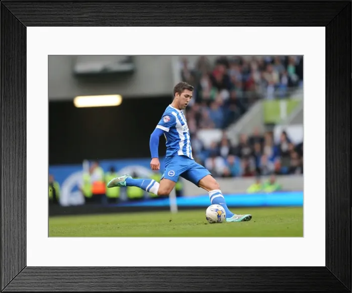Framed Print : Gary Gardner's Intense Focus: Brighton & Hove Albion vs. Middlesbrough, 18th October 2014 Framed Print : Gary Gardner's Intense Focus: Brighton & Hove Albion vs. Middlesbrough, 18th October 2014