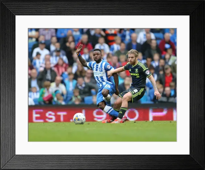 Framed Print : LuaLua's Cross: A Moment from Brighton v Middlesbrough (18 October 2014) Framed Print : LuaLua's Cross: A Moment from Brighton v Middlesbrough (18 October 2014)