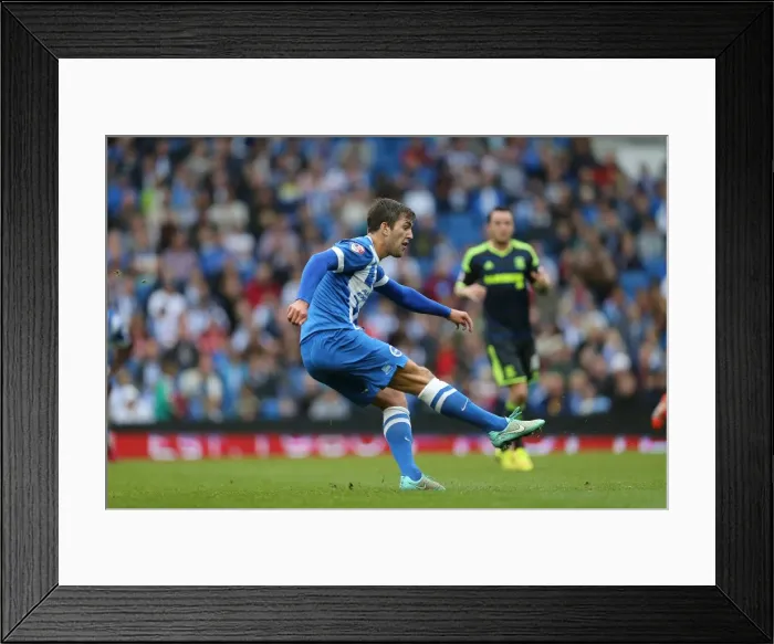 Framed Print : Gary Gardner Fires Away: Brighton and Hove Albion vs. Middlesbrough, October 18, 2014