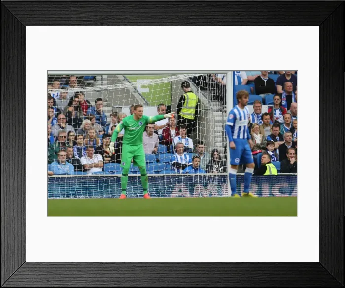 Framed Print : David Stockdale in Action: Brighton and Hove Albion vs. Middlesbrough, October 18, 2014 Framed Print : David Stockdale in Action: Brighton and Hove Albion vs. Middlesbrough, October 18, 2014