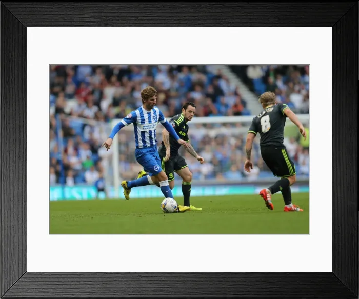 Framed Print : Brighton & Hove Albion: Paddy McCourt in Action Against Middlesbrough (18OCT14) Framed Print : Brighton & Hove Albion: Paddy McCourt in Action Against Middlesbrough (18OCT14)